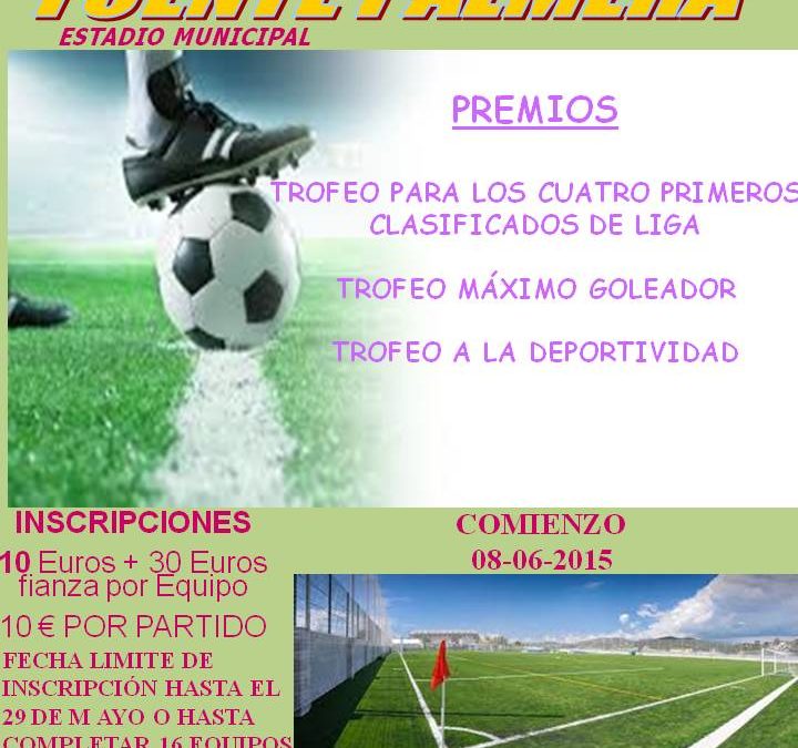 CARTEL LIGA DE FUTBOL 7