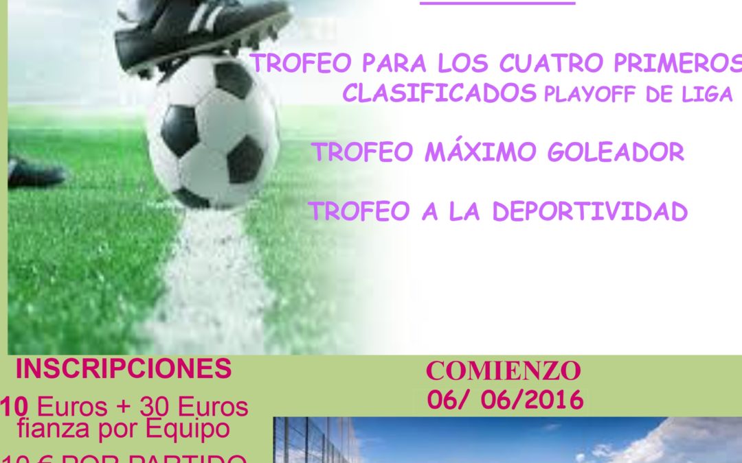 LIGA DE FUTBOL 7 2016