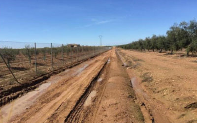 EL AYUNTAMIENTO REALIZARÁ LA ADECUACIÓN Y MEJORA DEL CAMINO RURAL «CALLE DIVISORIA Nº 6»