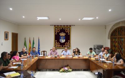 EL PLENO APRUEBA POR UNANIMIDAD LAS OBRAS PFEA 2019