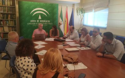 VISITA DEL ALCALDE Y DEL CONCEJAL DE MEDIO AMBIENTE A LA DELEGACIÓN PROVINCIAL DE AGRICULTURA Y DESARROLLO SOSTENIBLE