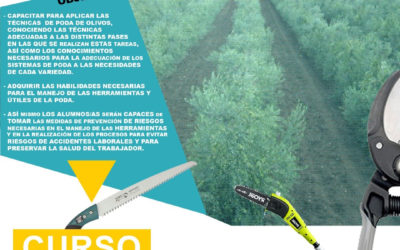 ABIERTA LA INSCRIPCIÓN PARA EL CURSO DE PODA DE OLIVAR
