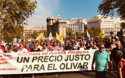 EL AYUNTAMIENTO APOYA LA MANIFESTACIÓN EN DEFENSA DEL OLIVAR CELEBRADA EN MADRID