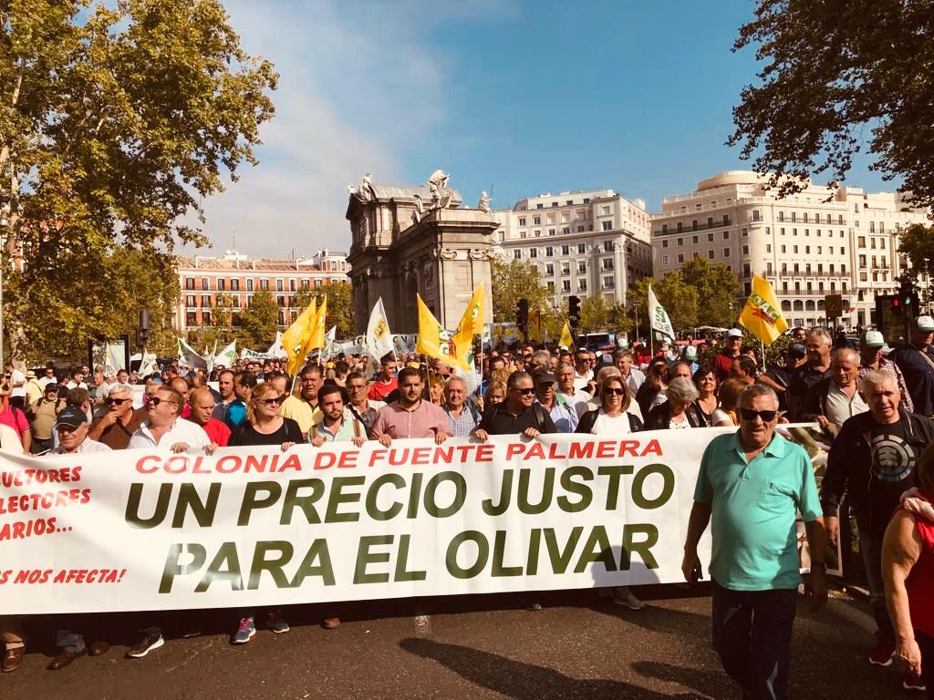 Manifestación Olivar Madrid Fuente Palmera