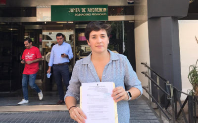 EL AYUNTAMIENTO REGISTRA UNA SOLICITUD PARA REUNIRSE CON LA DELEGADA DE EDUCACIÓN