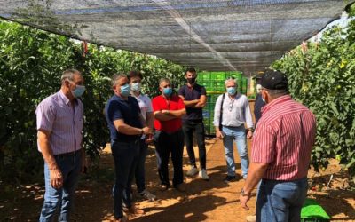 COMISIÓN DE AGRICULTORES VIAJAN A DARRO (GRANADA)
