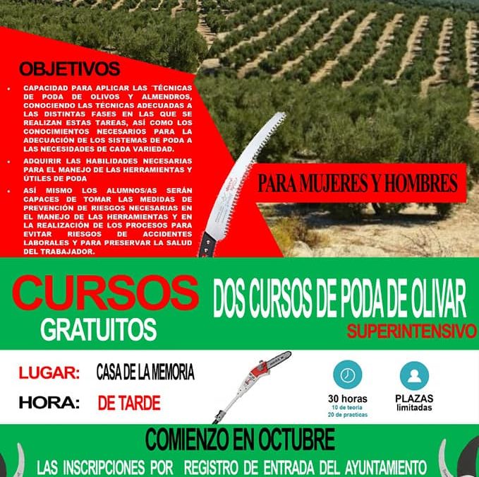 ABIERTO EL PLAZO DE INSCRIPCIÓN PARA DOS CURSOS GRATUITOS DE PODA DE OLIVAR SUPERINTENSIVO