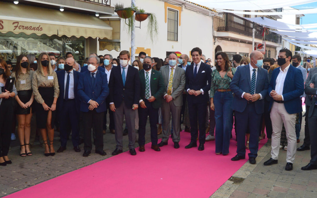 INAUGURACIÓN DE LA XIV FUENTE PALMERA DE BODA