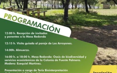 El Ayuntamiento organizará el 1 de febrero una mesa redonda en el paraje de Los Arroyones