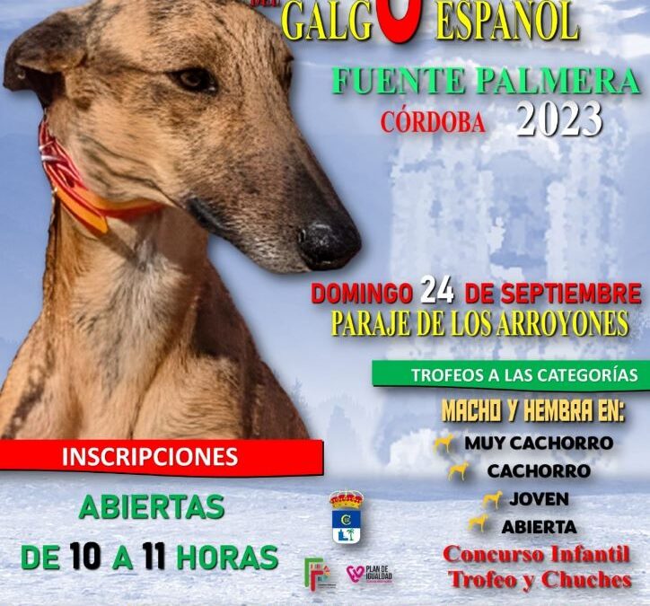 III Concurso Morfológico del Galgo Español
