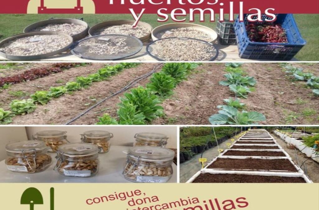 Campaña «Recupera nuestros huertos y semillas» de la Diputación