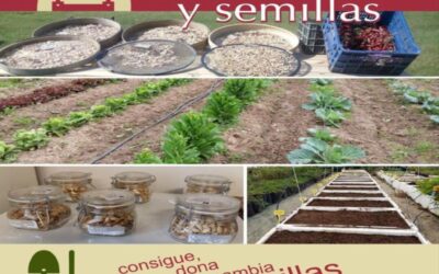 Campaña «Recupera nuestros huertos y semillas» de la Diputación