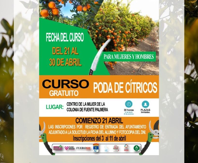 Nuevo curso gratuito de poda de cítricos